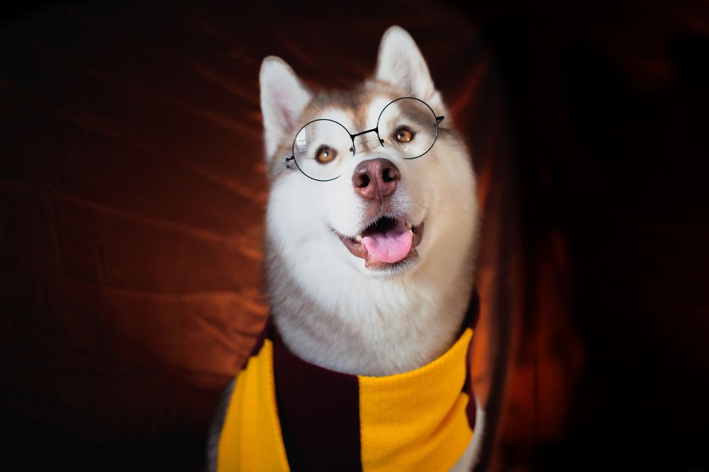 Photograph by Алина Перескокова