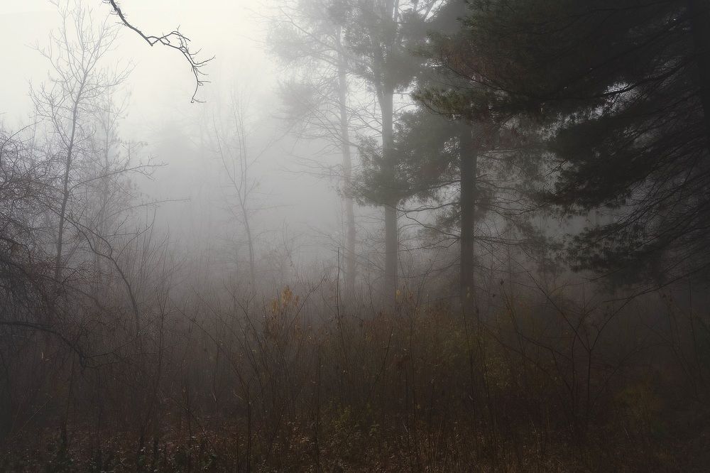 Photograph by Искандар Газизов