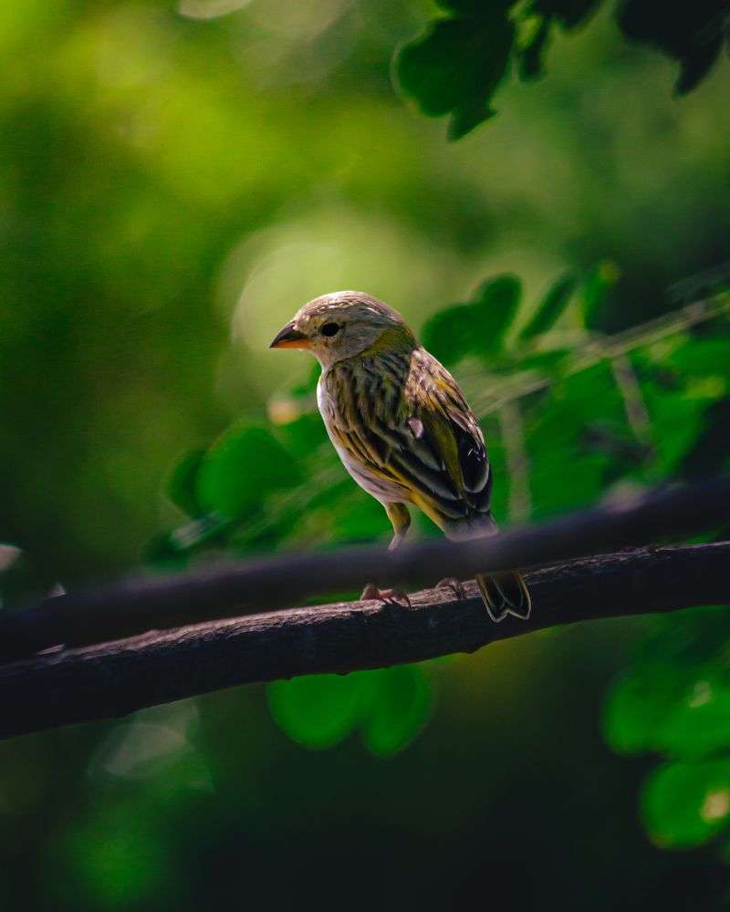 Photograph by Camilo Barreto