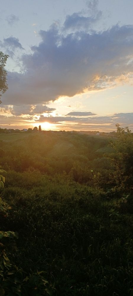 Photo #10392492