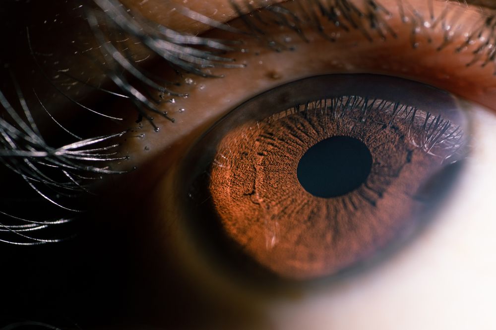 Eye tells everything.