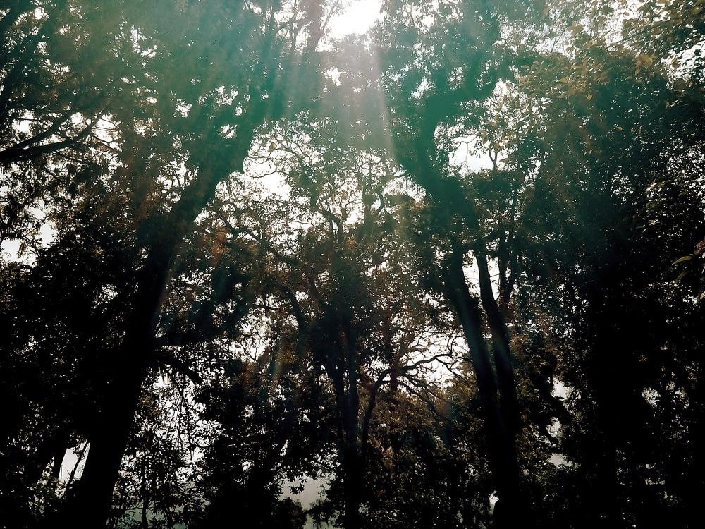 Photograph by Anirban Bhattacharya
