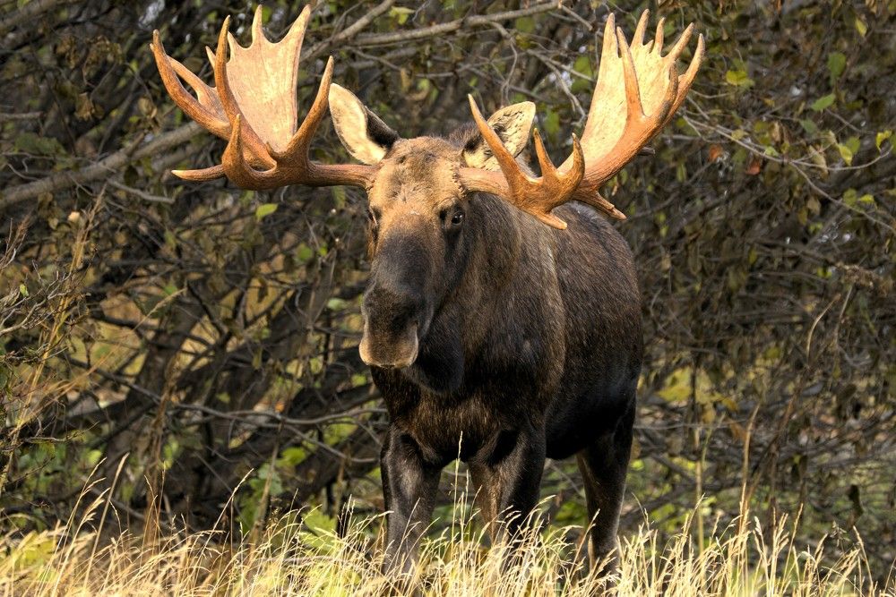 Photograph by Jared Solberg