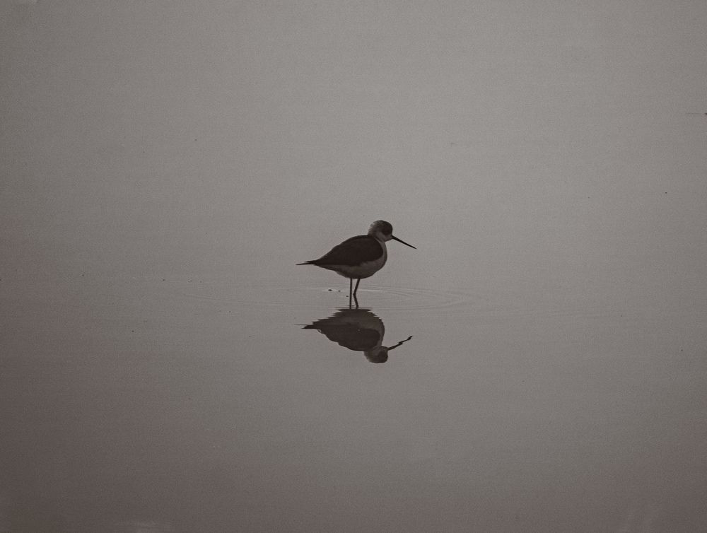 Photograph by Parth Khandelwal