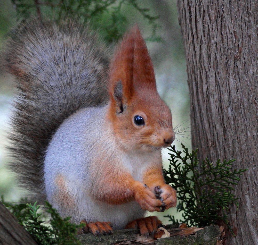 Photograph by Наталья Степаненко