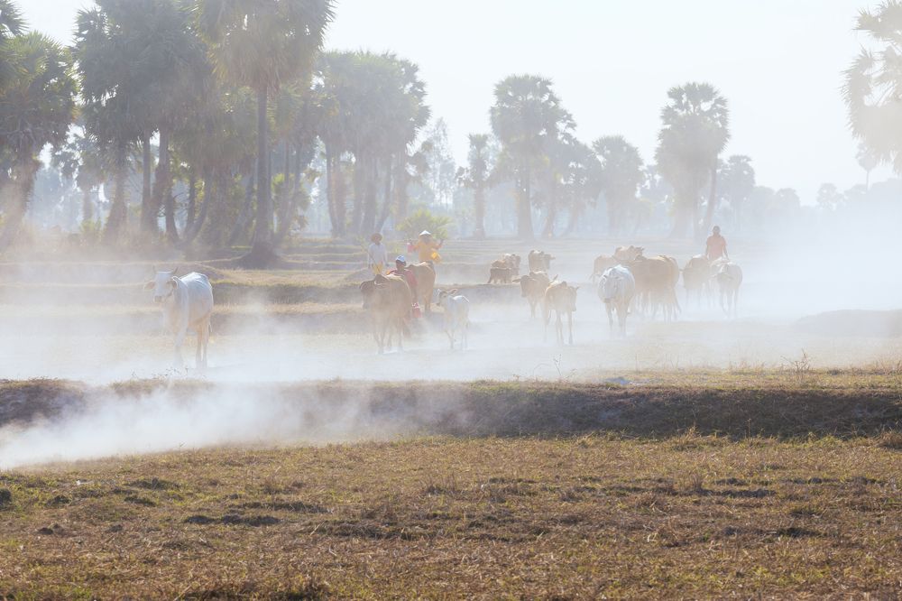 Photograph by Phúc Đoan Nguyễn