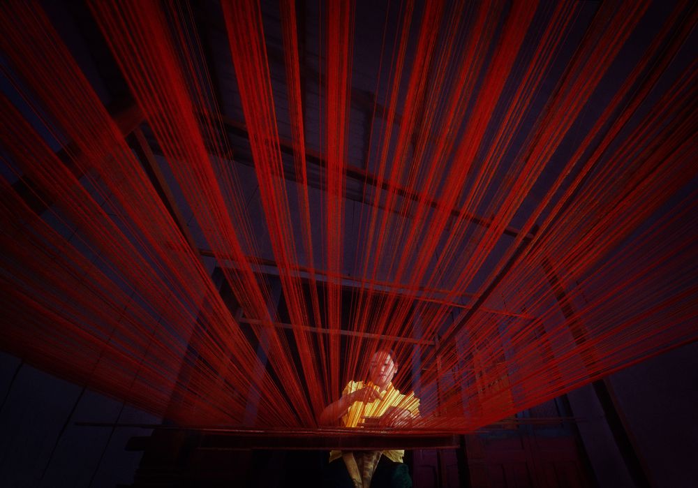 Photograph by Phúc Đoan Nguyễn