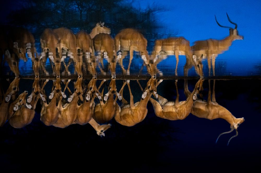 Фотография автора Debabrata Bagchi