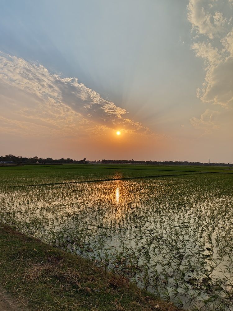 Photograph by Rupanjan Dasgupta