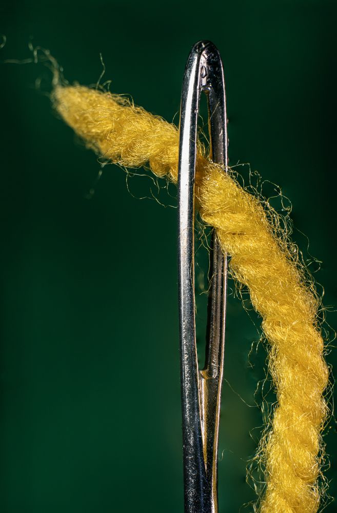 Фотография автора oleg mikhaylov