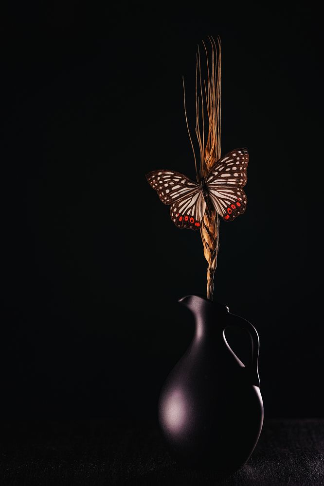 Фотография автора oleg mikhaylov