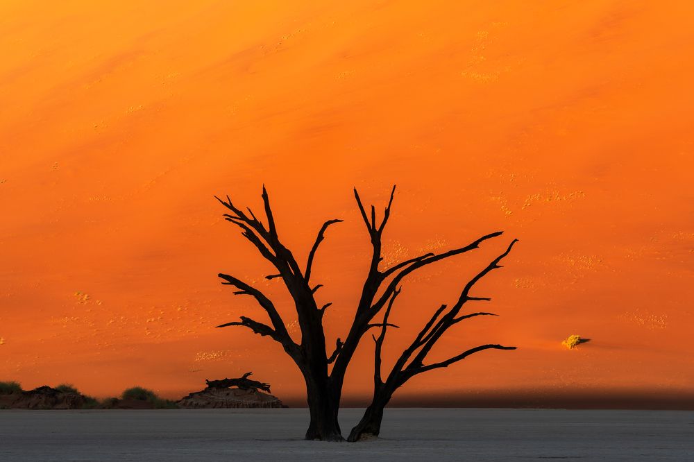 Photograph by Carlos André Silva Antunes