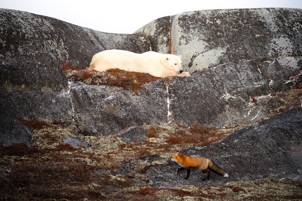 Фотография автора Karthik Subramaniam