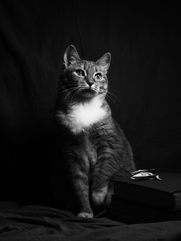 Photograph by Вадим Вейдт