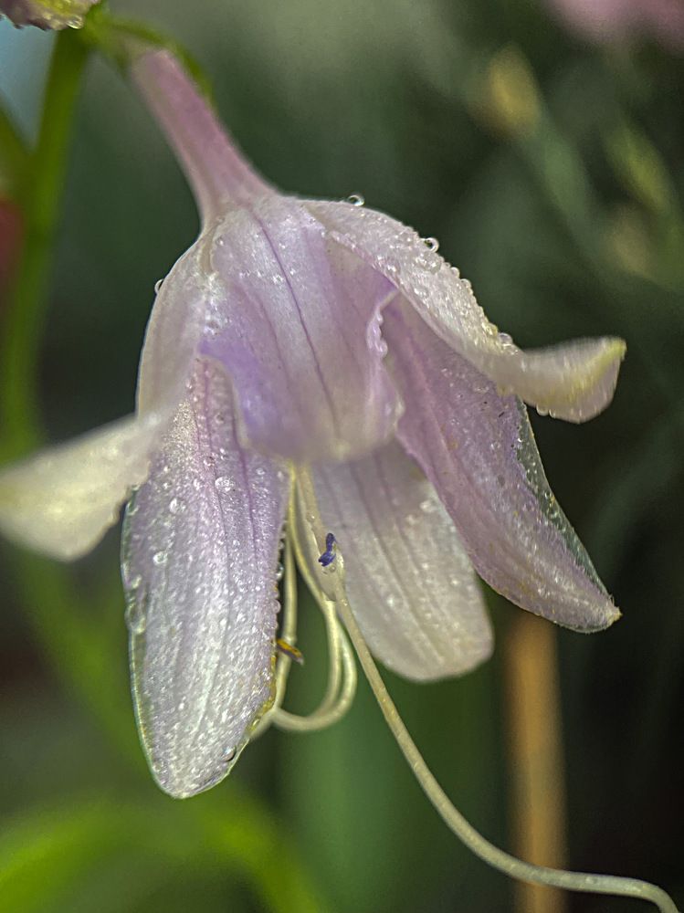 Photograph by Александра Гонтарь