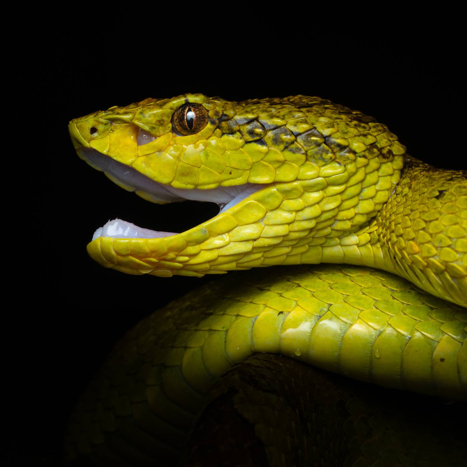 Фотография #10392879