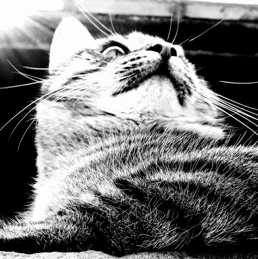 Photograph by Татьяна Пятернёва