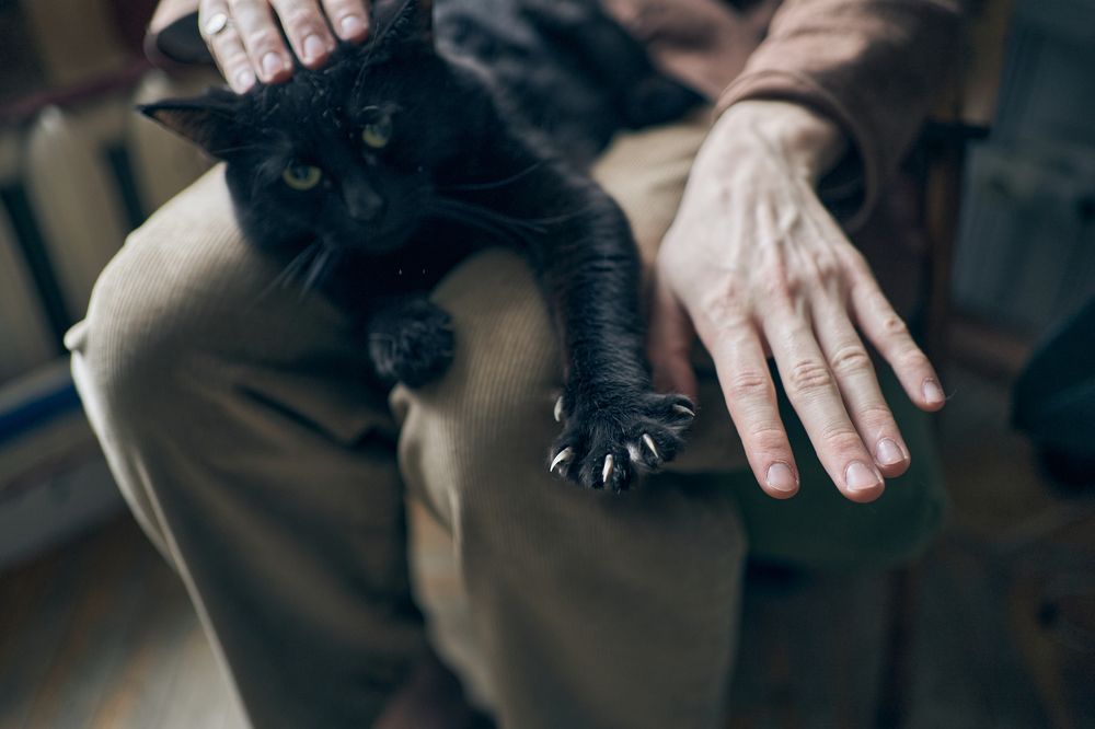 Photograph by Дарья Комарова