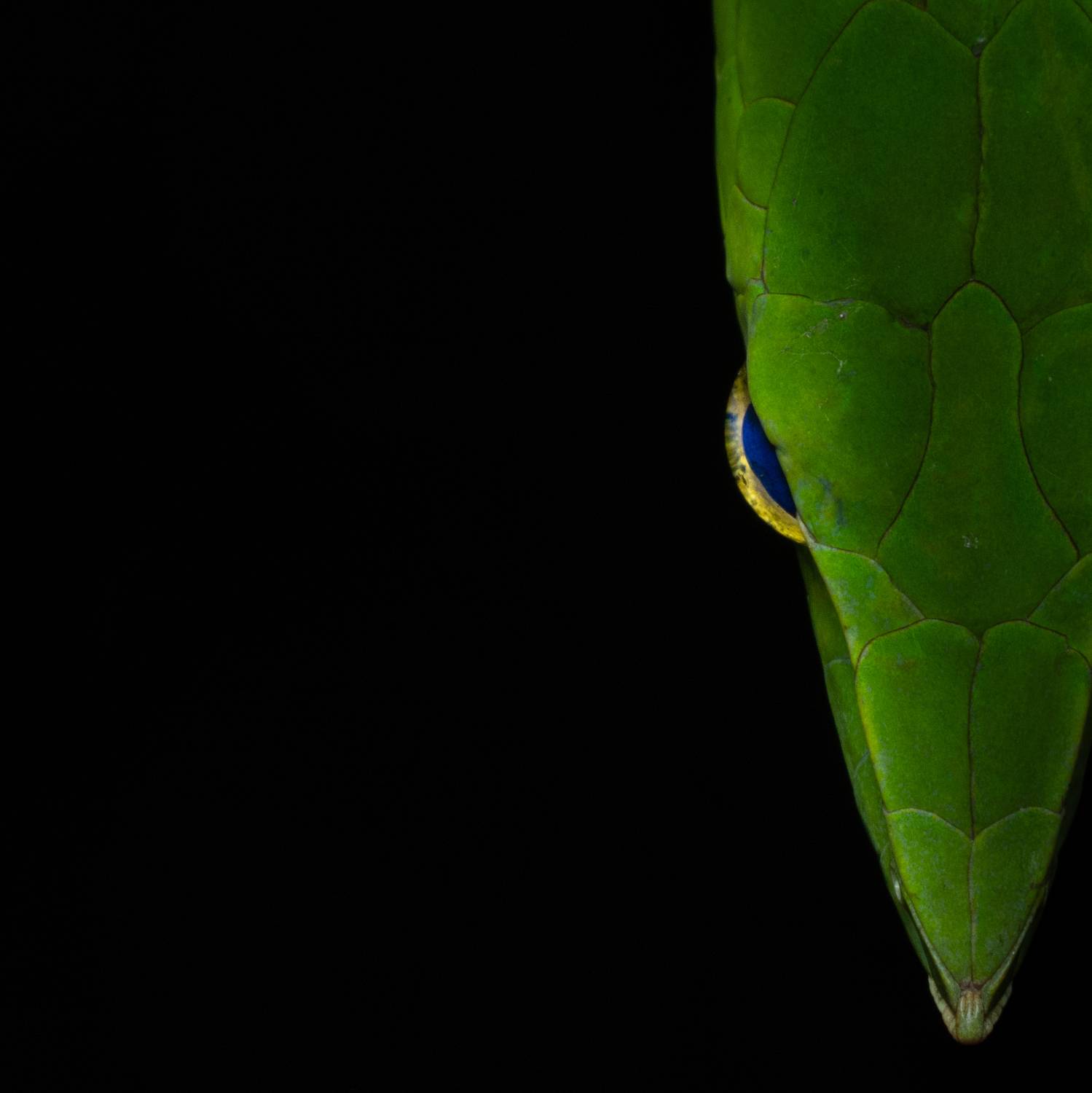 Фотография #10392885