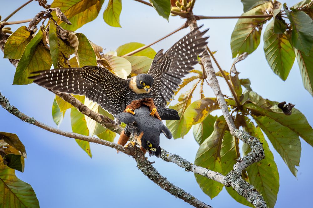 Photograph by Heiler