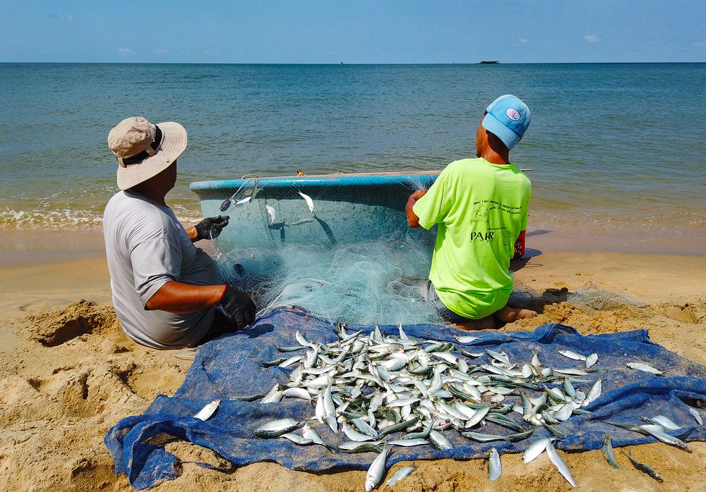 Photograph by Игорь Кляхин