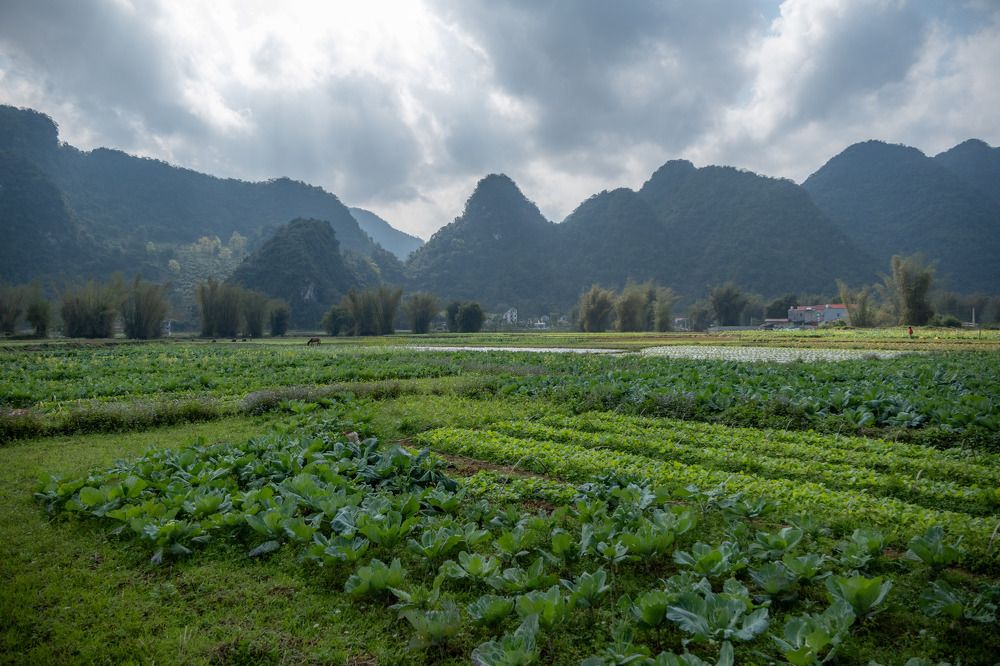 Photograph by Alexandre de Pommereau