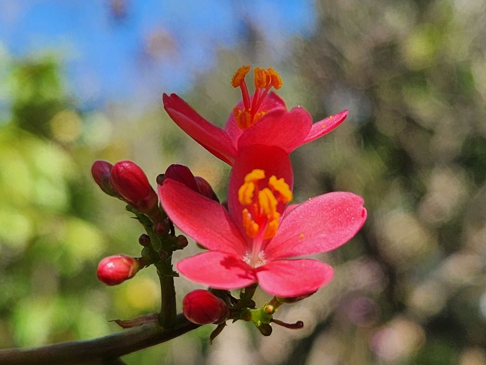 Photograph by Ratnesh shakya