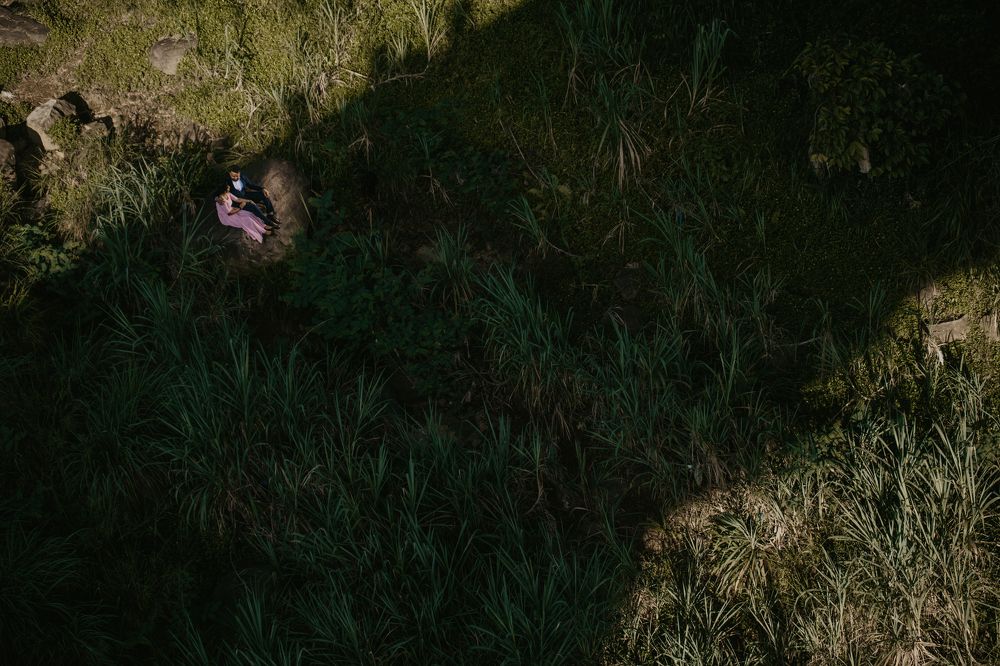 Photograph by Shane Coulton