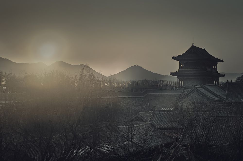 Photograph by Adler Roman