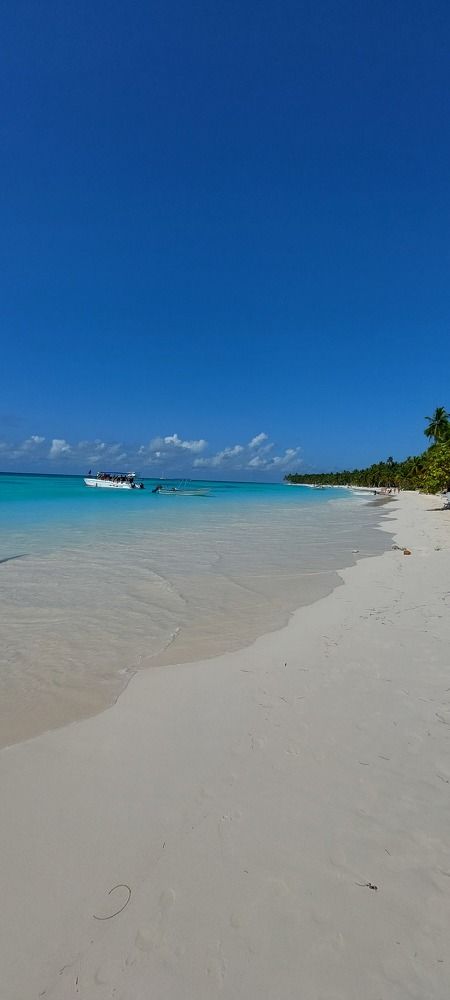 Photograph by Virginia Azocar