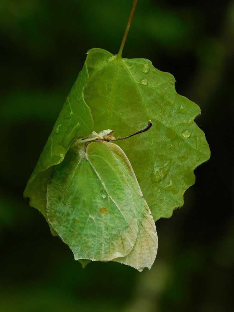 Photograph by Silja Grünberg