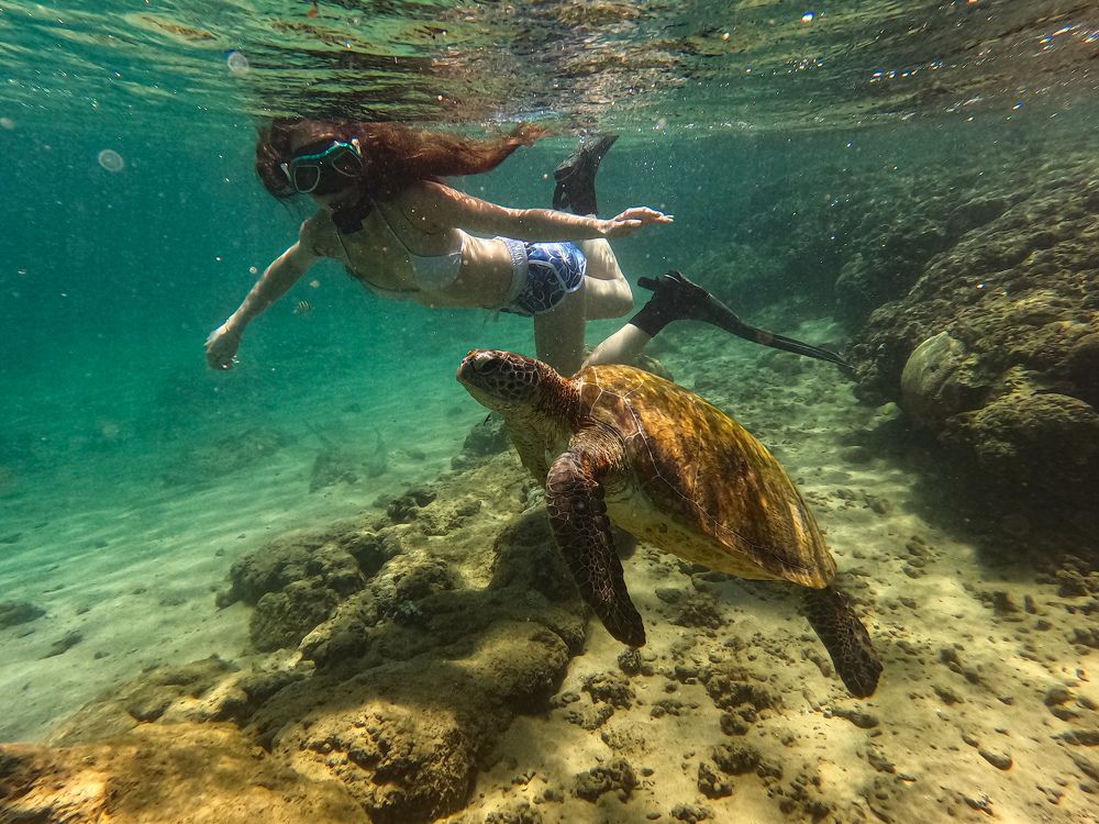 Photograph by Михаил