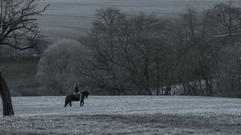 Photograph by gustavo adolfo ramos del rosario