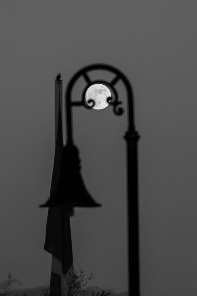 Photograph by Noe Castro