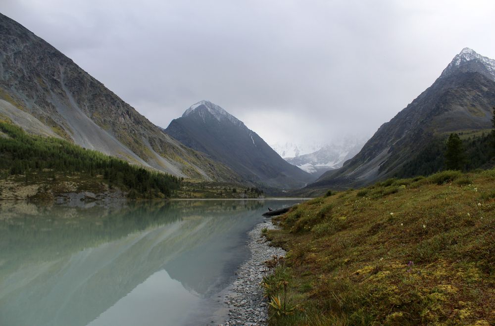 Долина Ак-кема. У подножия Белухи.