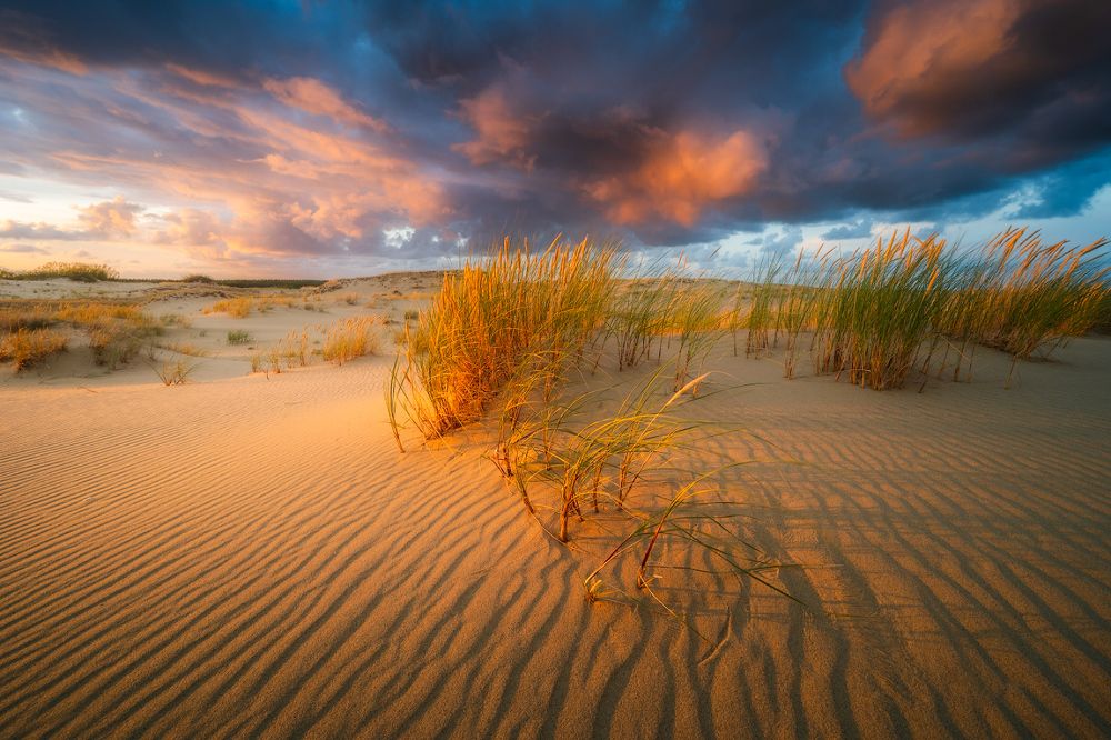 Photograph by Валерий Притченко