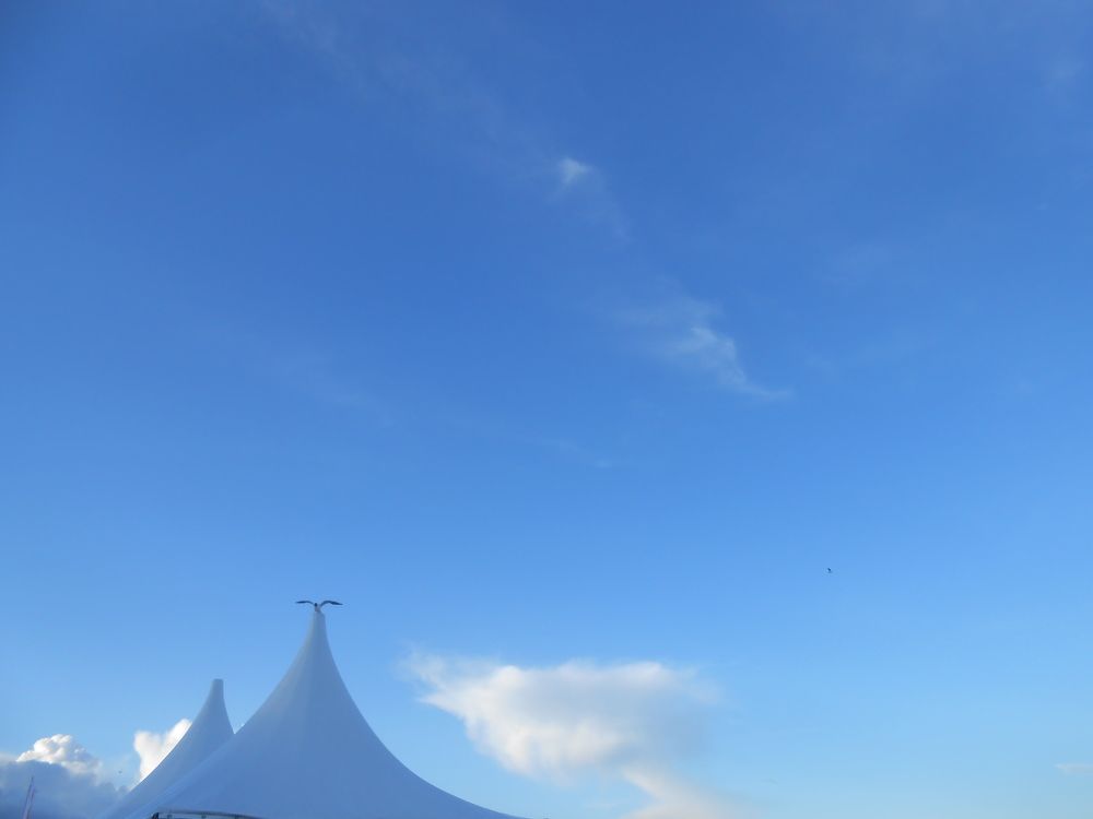 Photograph by Ольга Попова