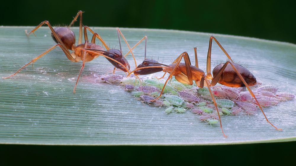 Photograph by Chen-You Li