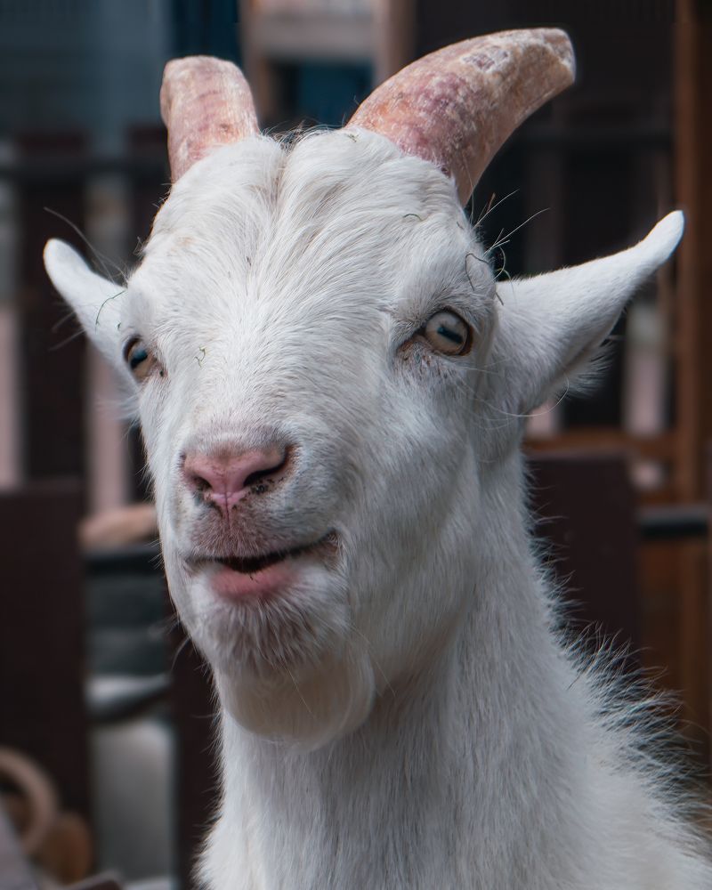 MILLION DOLLAR SMILE