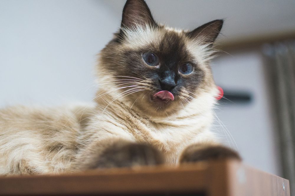 Photograph by Анастасия Устинова