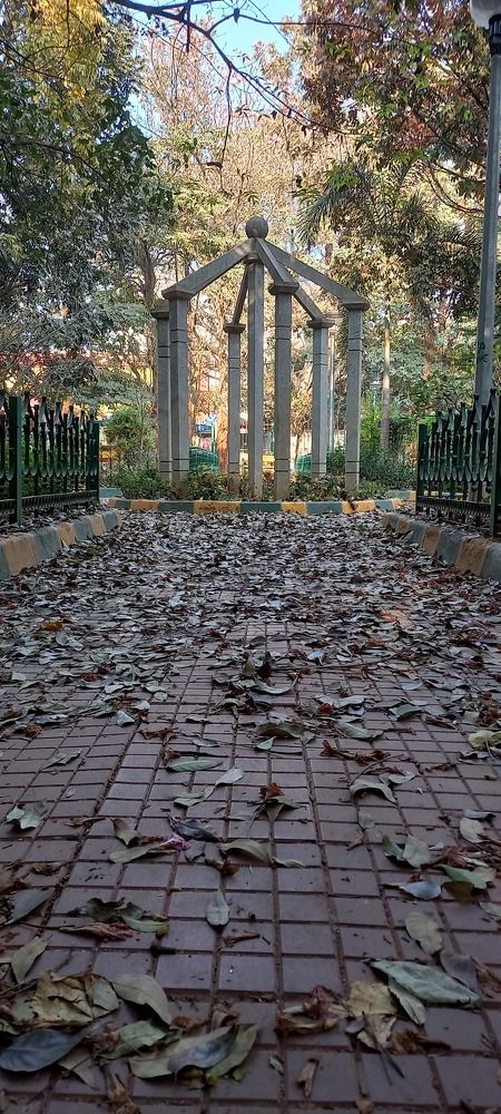Photo #10393413