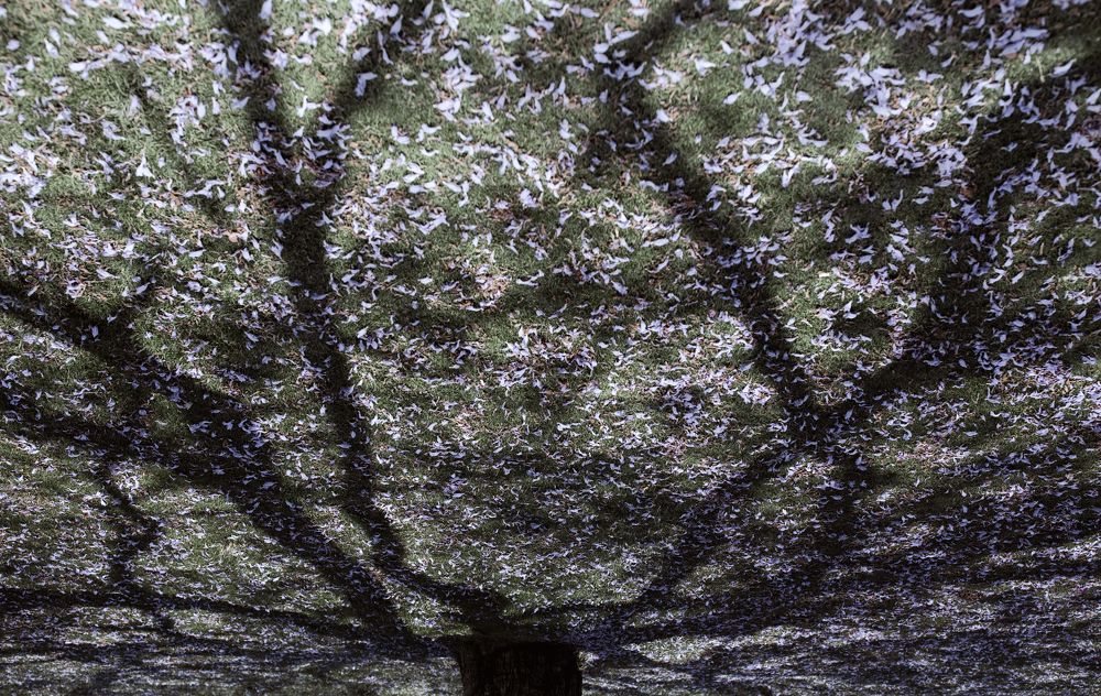 С другой стороны