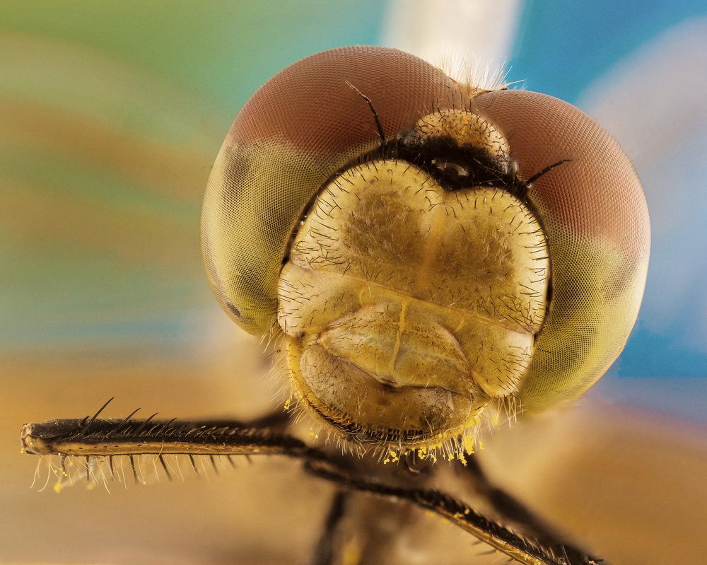 Photograph by Евгений Жуланов