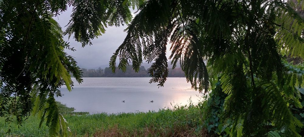 Photograph by Virginia Azocar