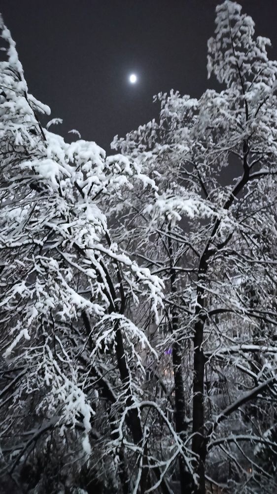 Photograph by Людмила Фурсова