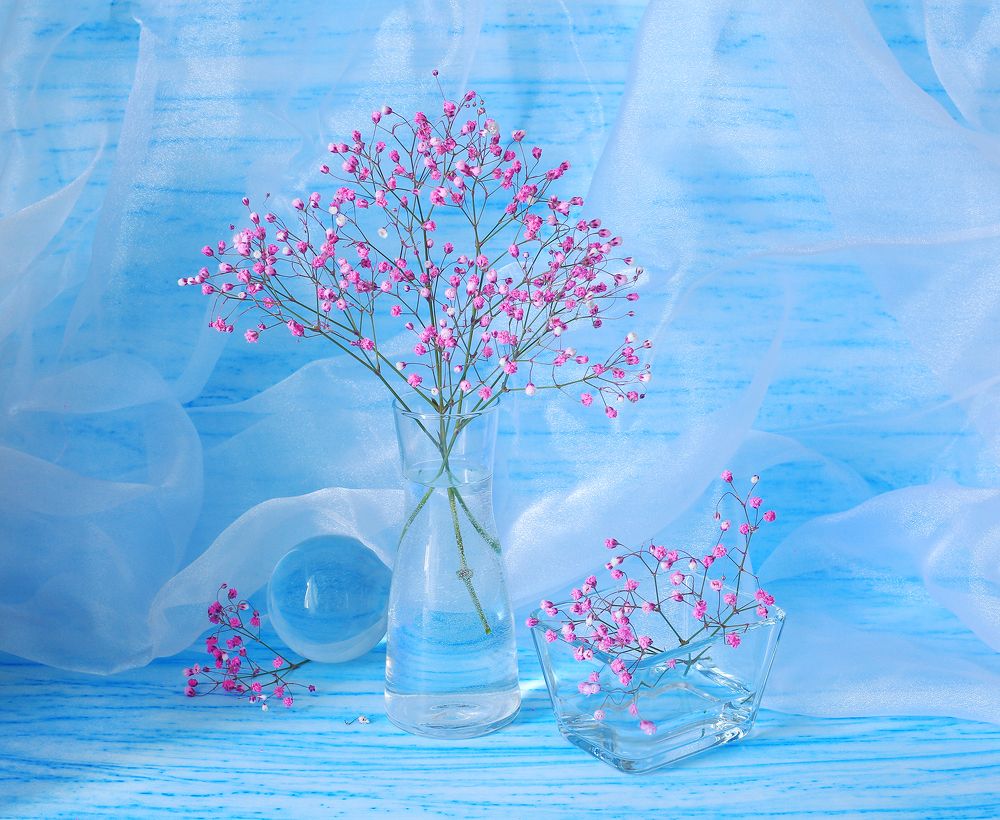 Полярный натюрморт