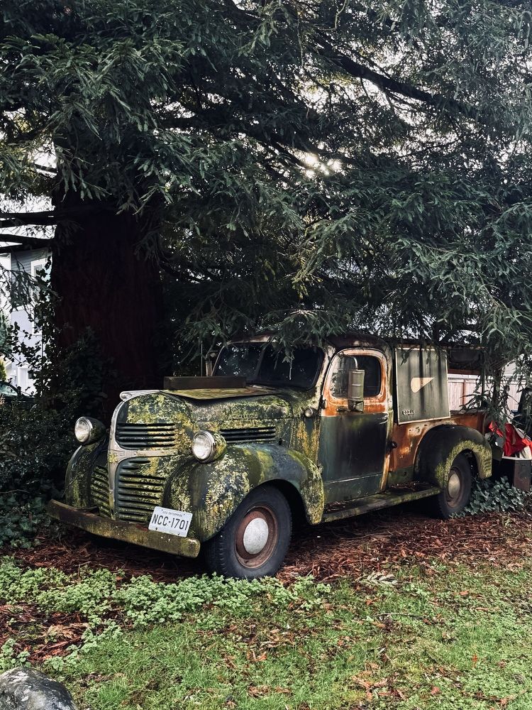 Photograph by Гаврил Павлов