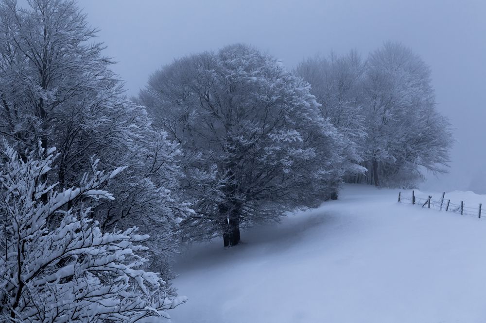 Winter on Zlatibor highlands | Зима на Златиборском нагорье