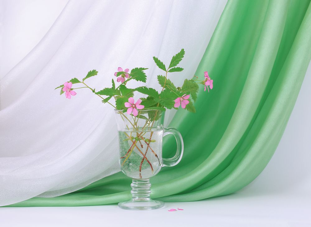 Хрупкая нежность