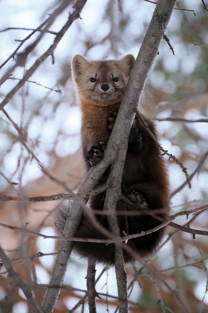 Photograph by Багурский Алексей
